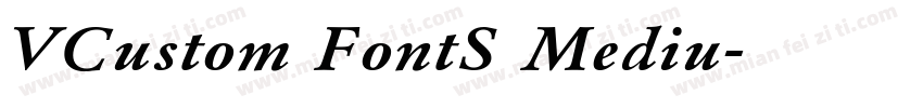 VCustom FontS Mediu字体转换